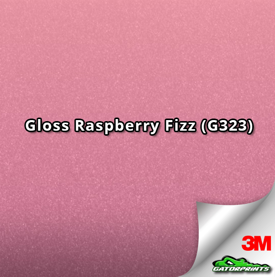 Gloss Raspberry Fizz (G323)